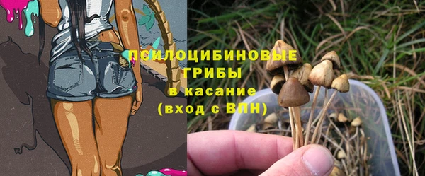дмт Магадан